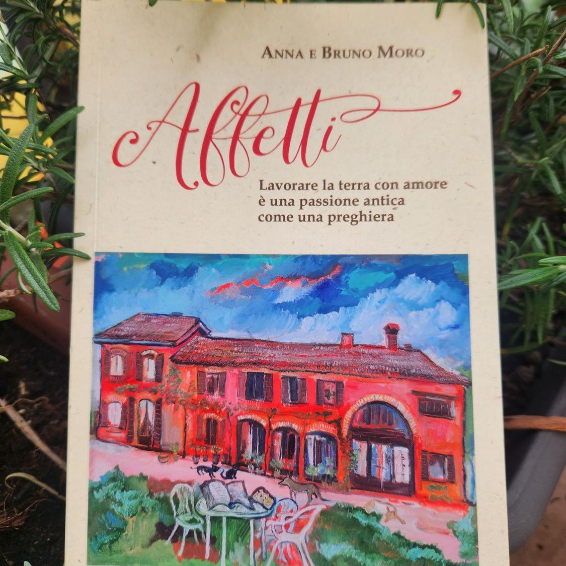 FOTO NON DISPONIBILE